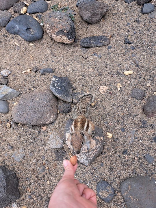 Strand Club Jandia Princess