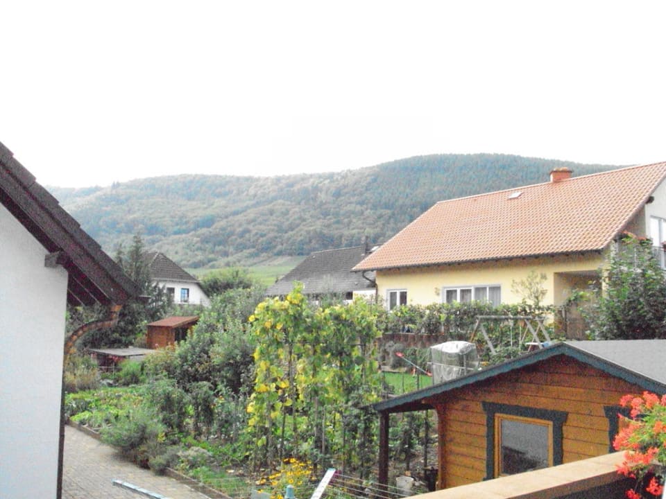 Von der Terrasse Gasthof Zur Römervilla