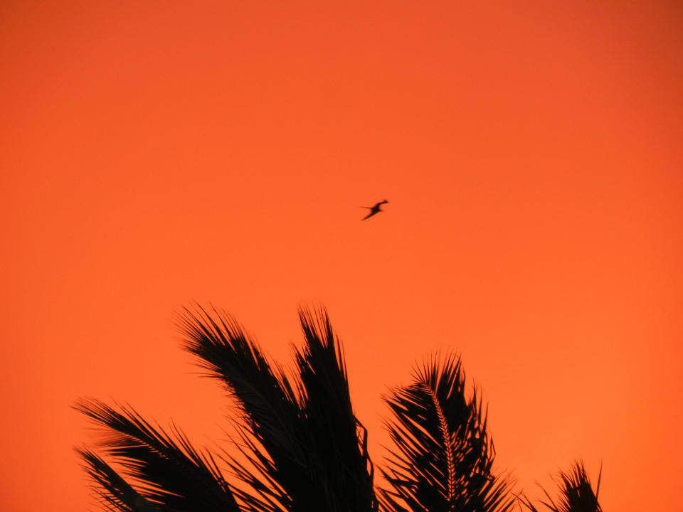 Sonnenaufgang Secrets Royal Beach Punta Cana - Adults only