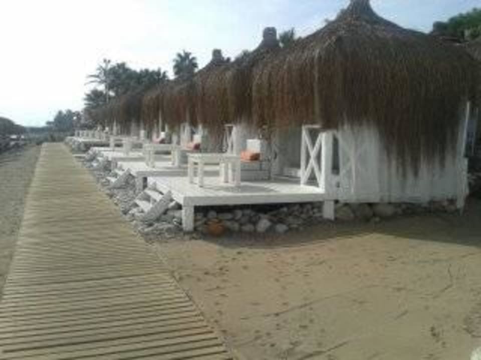 Wunderschön Balmy Foresta