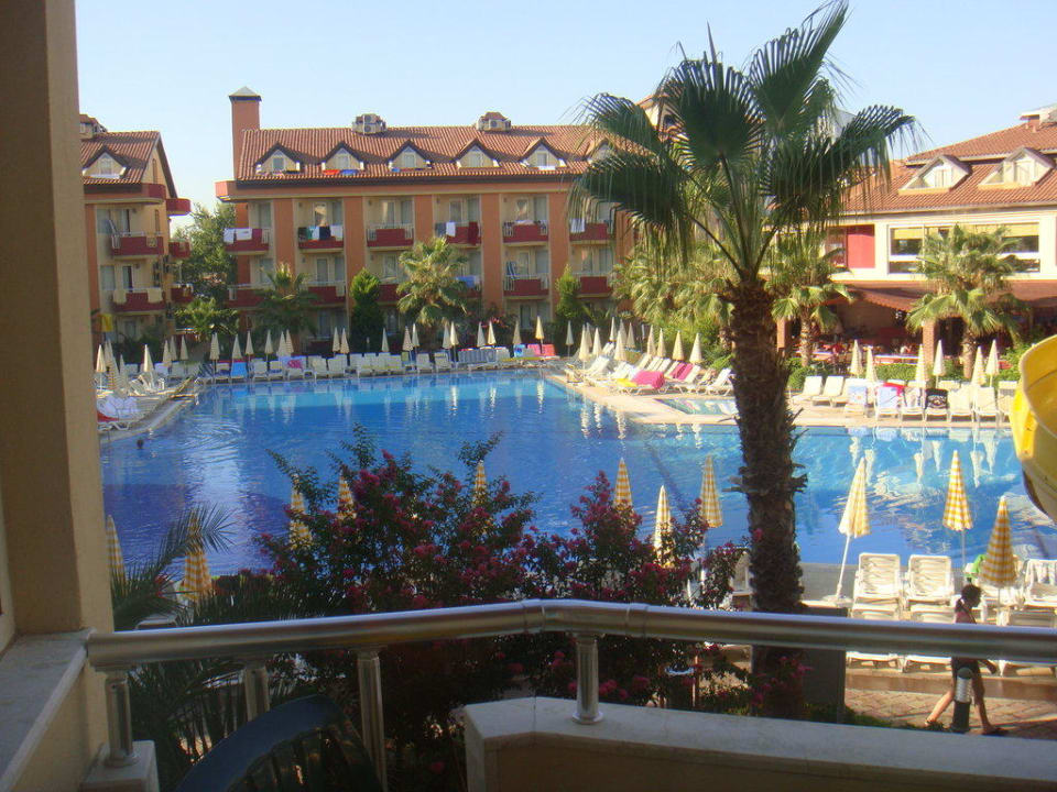 Ausblick vom Zimmer aus Hotel Orfeus Park