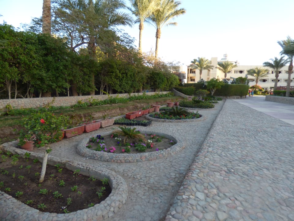 Garten Seagull Beach Resort