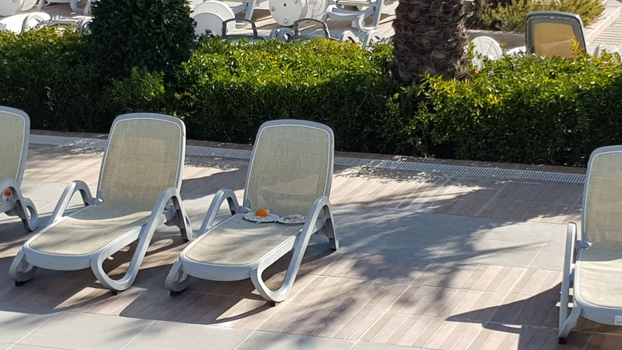 Sonstiges Royal Seginus