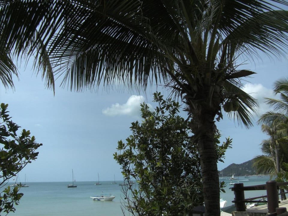 Blick vom Pool auf das Meer Banana Fan Sea Resort