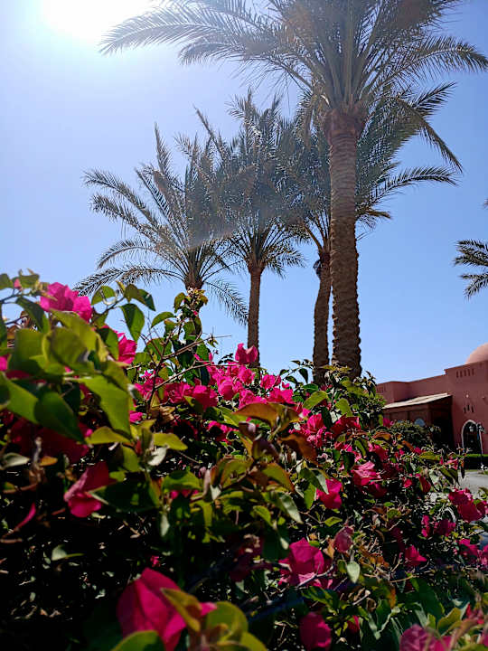 Gartenanlage Radisson Blu Resort, El Quseir