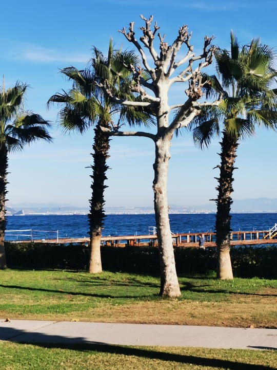 Ausblick Balmy Foresta