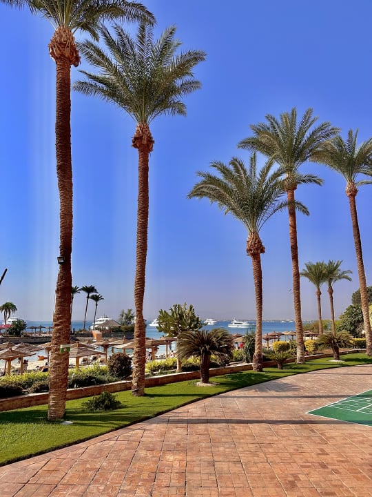 Gartenanlage Marriott Hurghada Beach Resort