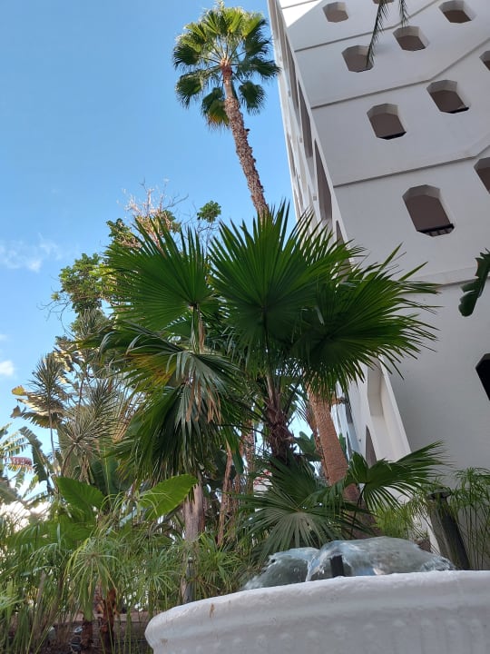 Gartenanlage Corallium Beach by Lopesan Hotels - Adults only