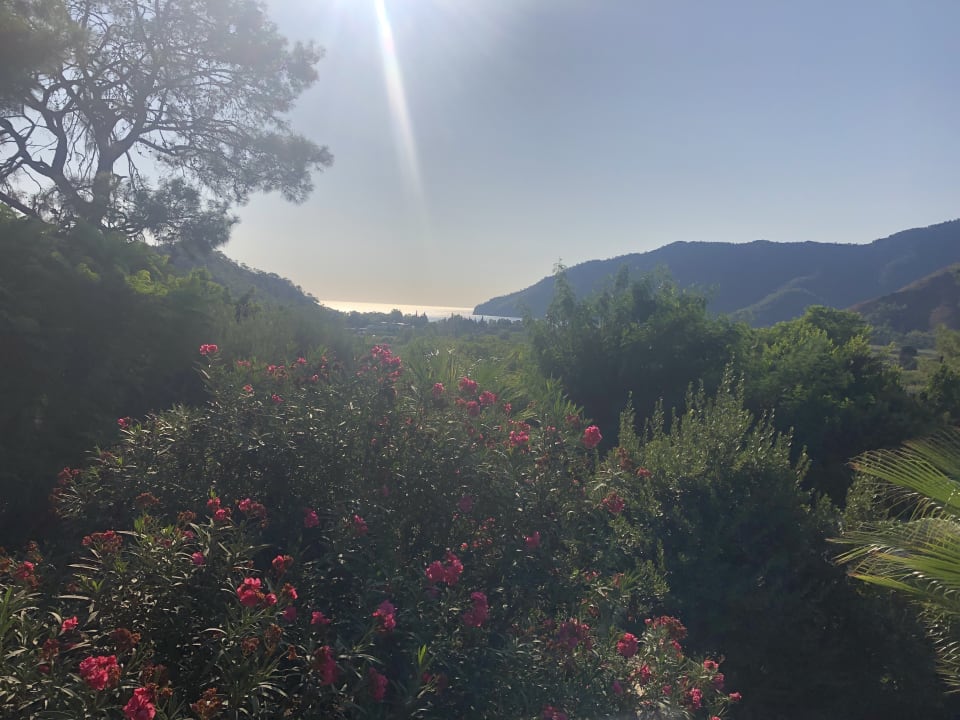 Gartenanlage LYKIA lodge | home of happiness