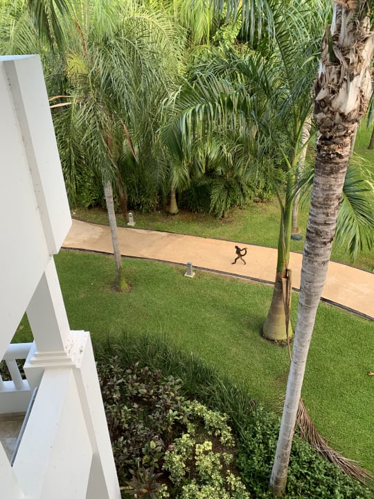 Garten Grand Riviera Princess All Suites & Spa Resort