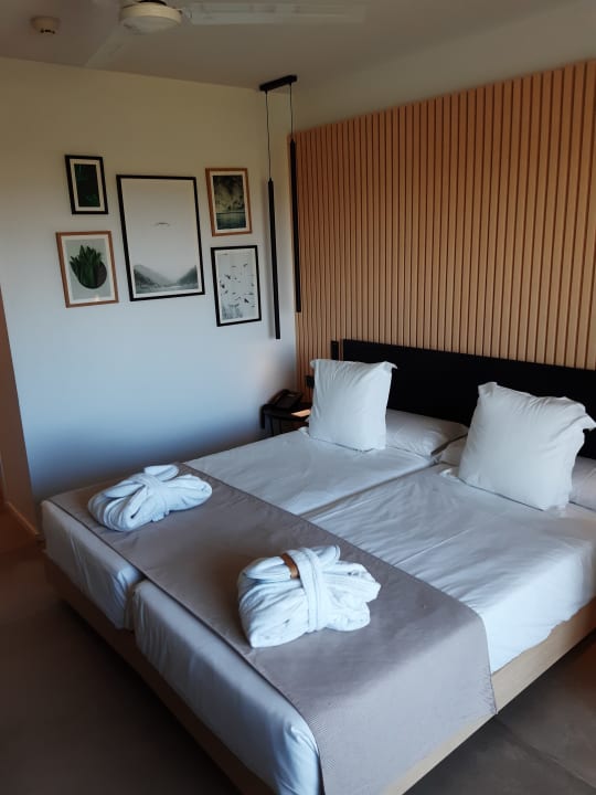 Zimmer BG Hotel Caballero