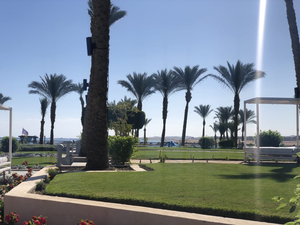 Ausblick Pickalbatros Palace Hotel-Port Ghalib
