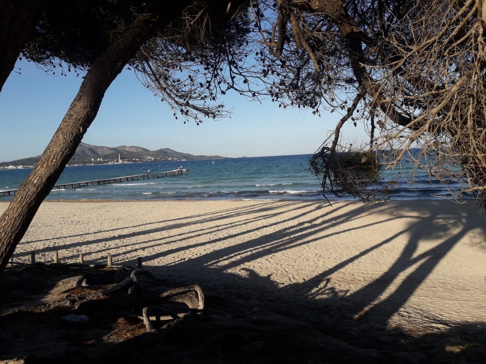 Strand Grupotel Los Principes & Spa