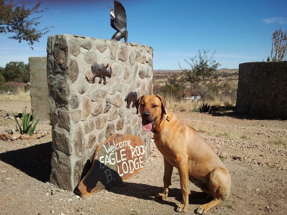 Welcome Eagle Rock Guest-Farm & Business Lodge