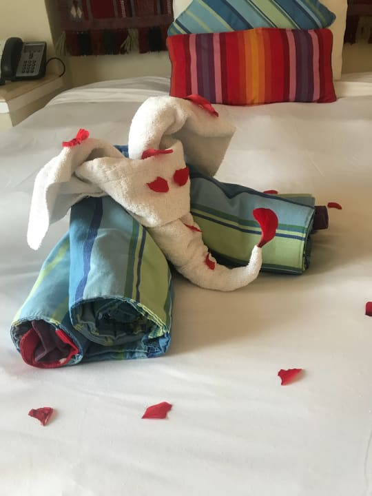 Zimmer Pickalbatros Sands Hotel - Port Ghalib