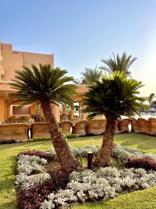 Gartenanlage Continental Hotel Hurghada