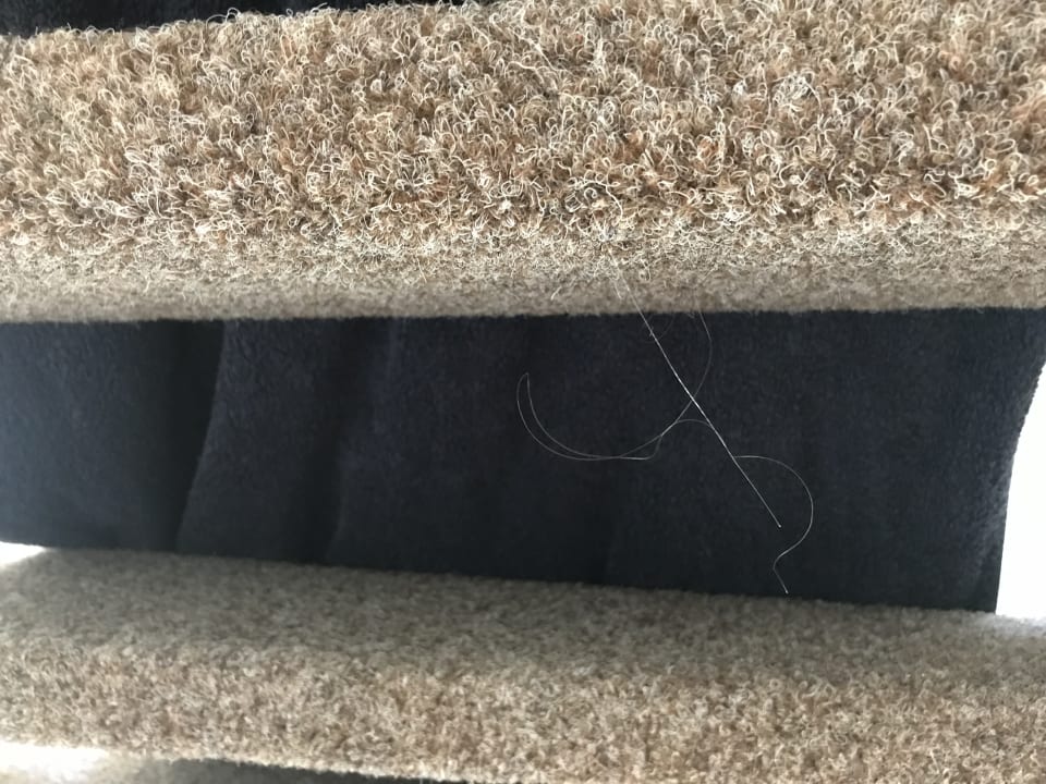 Zimmer Landal Beach Resort Ooghduyne