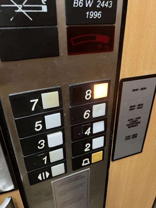 Sonstiges PALOMA Perissia