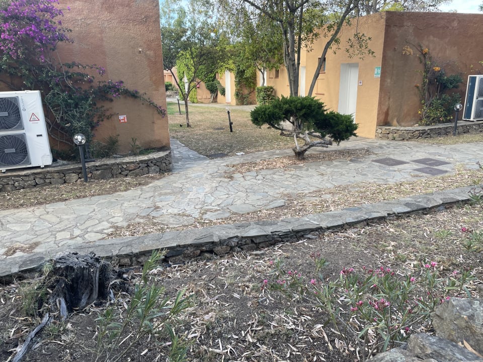 Gartenanlage TUI BLUE Budoni