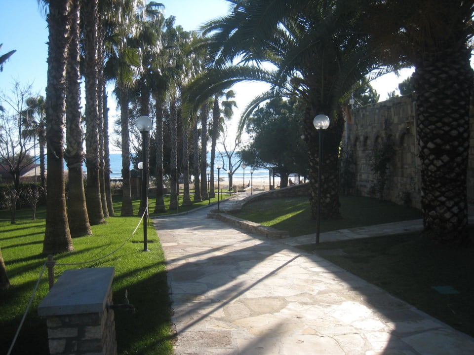 Palmenallee zum Strand Arum Barut Collection