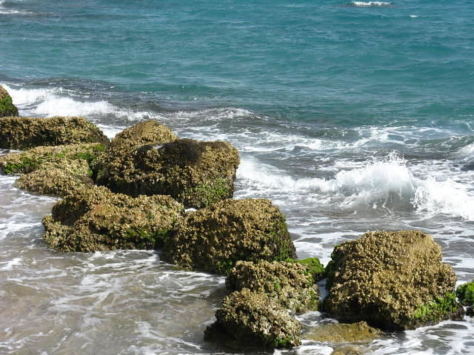 Felsen zur Abtrennung Pickalbatros Citadel Resort