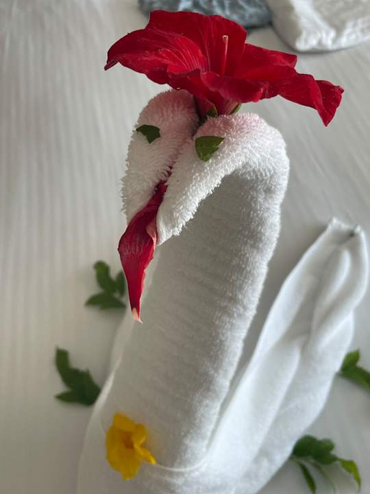 Zimmer Steigenberger Resort Ras Soma