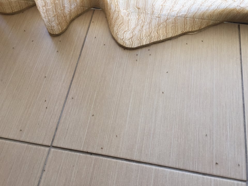 Zimmer Hotel Kalithea Horizon Royal