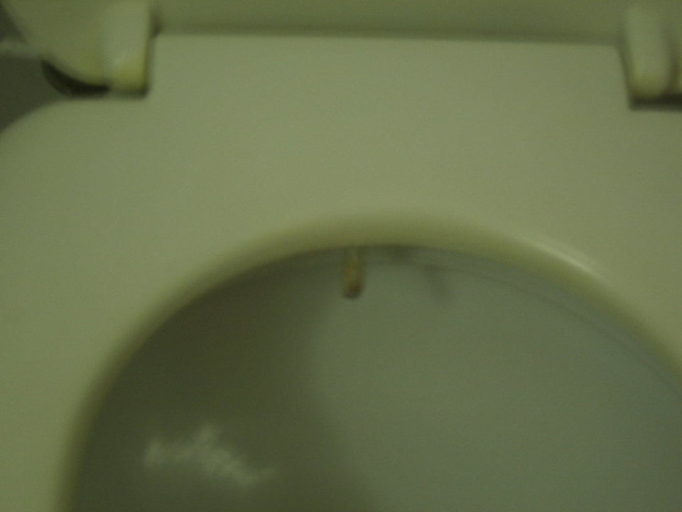 Einfach nur eklig Kamelya Aishen Club