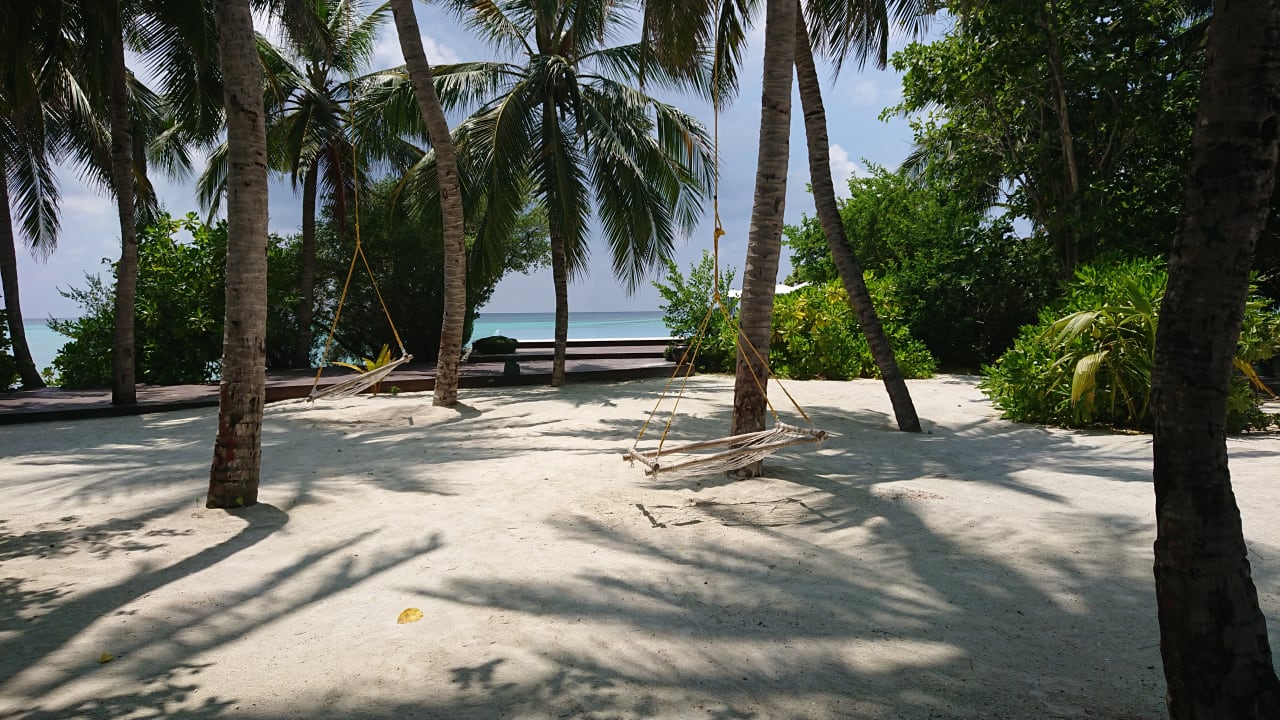 Ausblick Summer Island Maldives