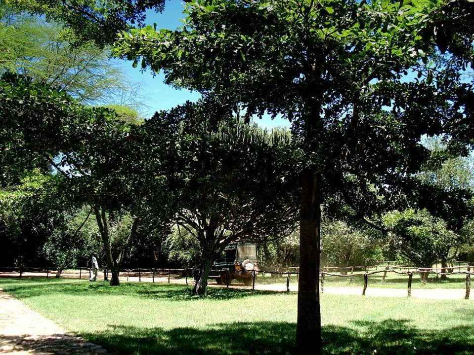 Der wunderbare Park des Intrepid Tented Camp Mara - Intrepids