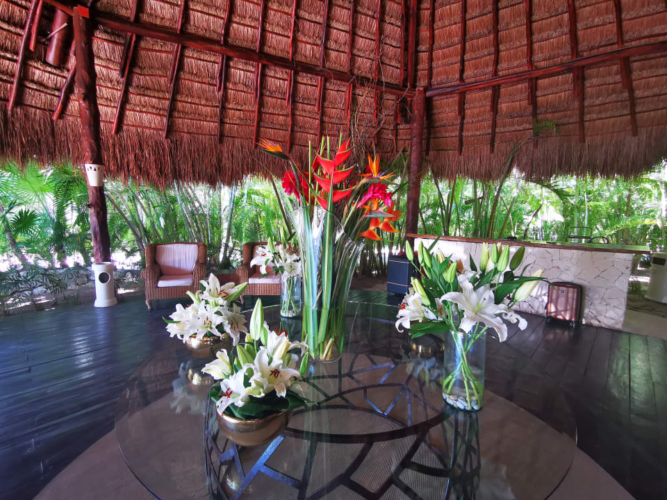 Lobby Akumal Bay Beach & Wellness Resort
