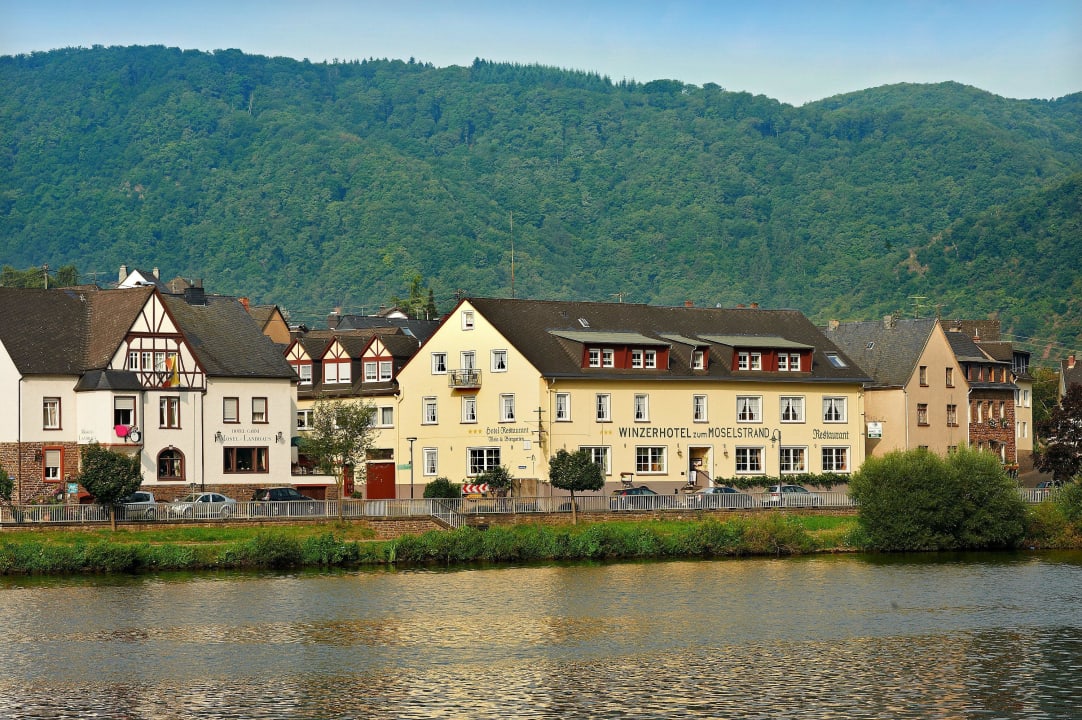 Ansicht von anderer Moselseite Winzerhotel zum Moselstrand