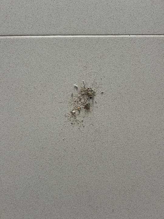 Zimmer Hipotels Mercedes