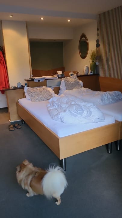 Zimmer Hotel Zum Günen Kranz