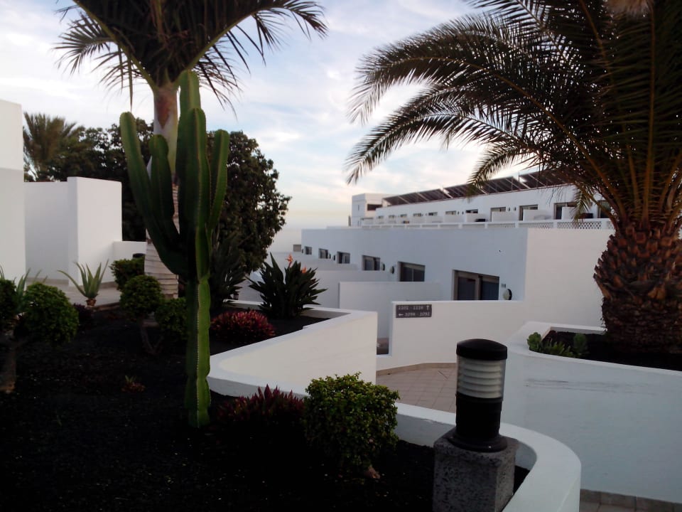 Immer wieder Garten alles schön Hotel Las Costas