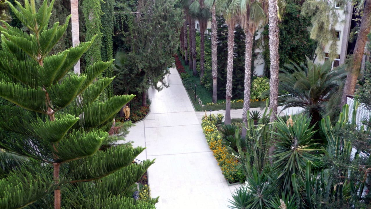 Blick vom Balkon, rechts Haus Mimosa Botanik Hotel & Resort
