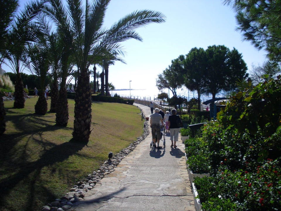 Sentido PALOMA Perissia