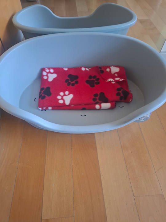 Zimmer Reduce Hotel Thermal Bad Tatzmannsdorf