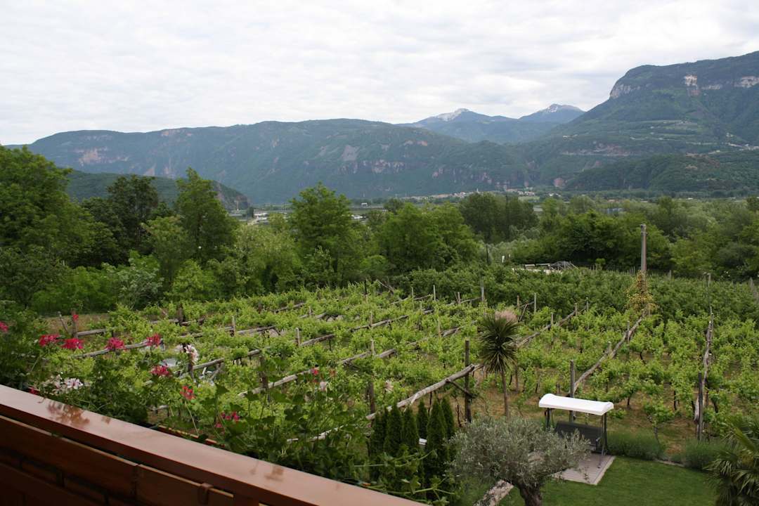Blick zum Weiß- und Schwarzhorn Garni Sandhof