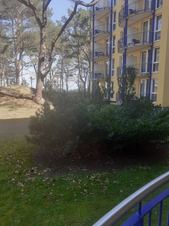 Ausblick IFA Rügen Hotel & Ferienpark