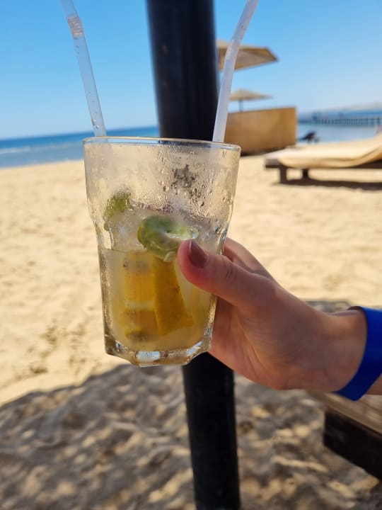 Gastro Pickalbatros Palace Hotel-Port Ghalib