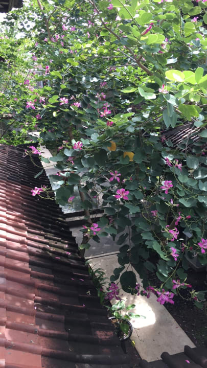 Außenansicht Grand Whiz Hotel Nusa Dua Bali