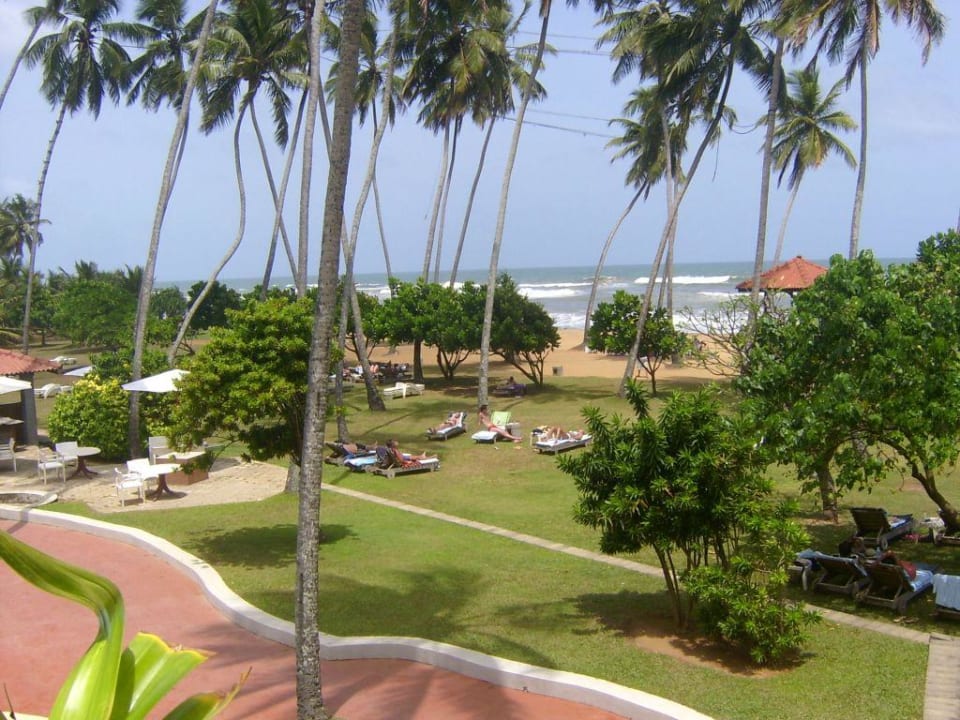 Sonnenwiese Turyaa Kalutara