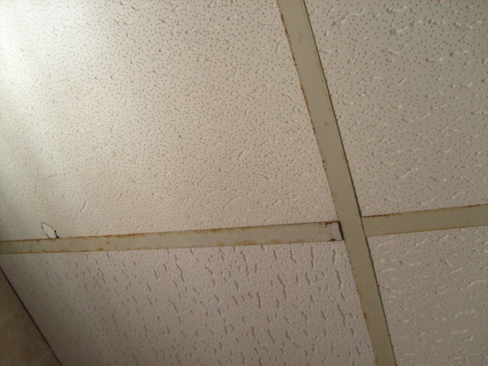 Decke im Bad HSM Club Torre Blanca