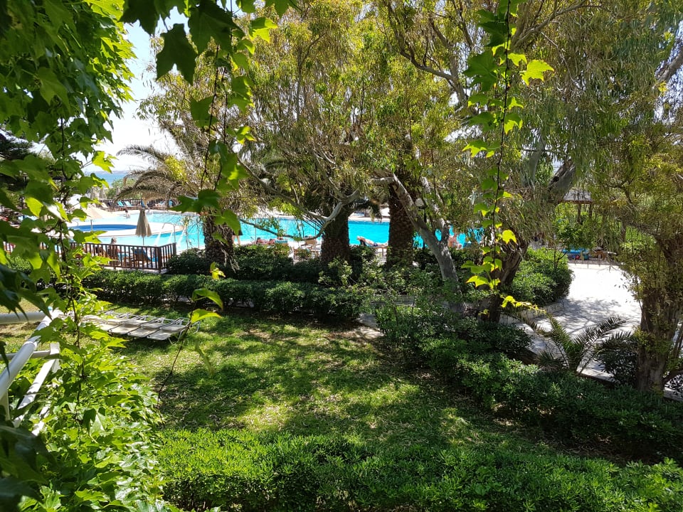 Gartenanlage Apollonia Beach Resort & Spa