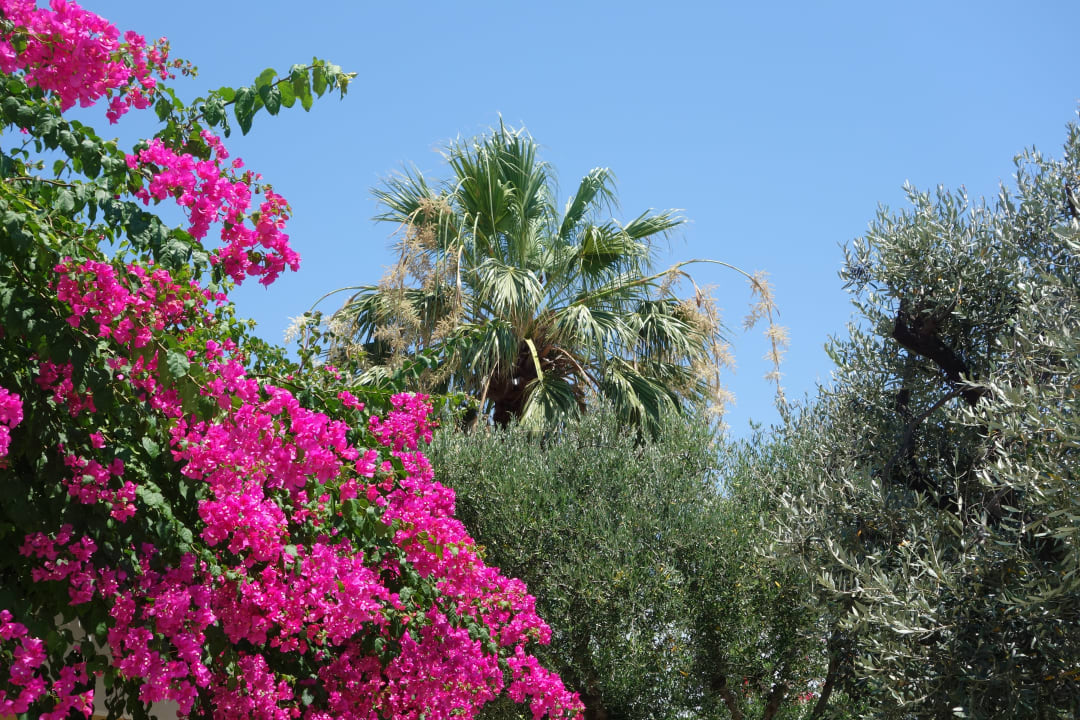 Gartenanlage TUI KIDS CLUB Alex Beach