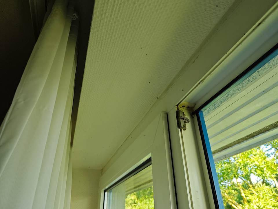 Zimmer Hotel Wyndham Garden Wismar