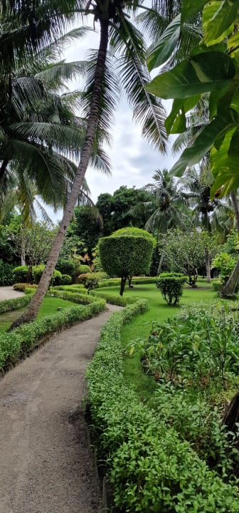 Gartenanlage Adaaran Select Meedhupparu Island Resort - Premium All Inclusive