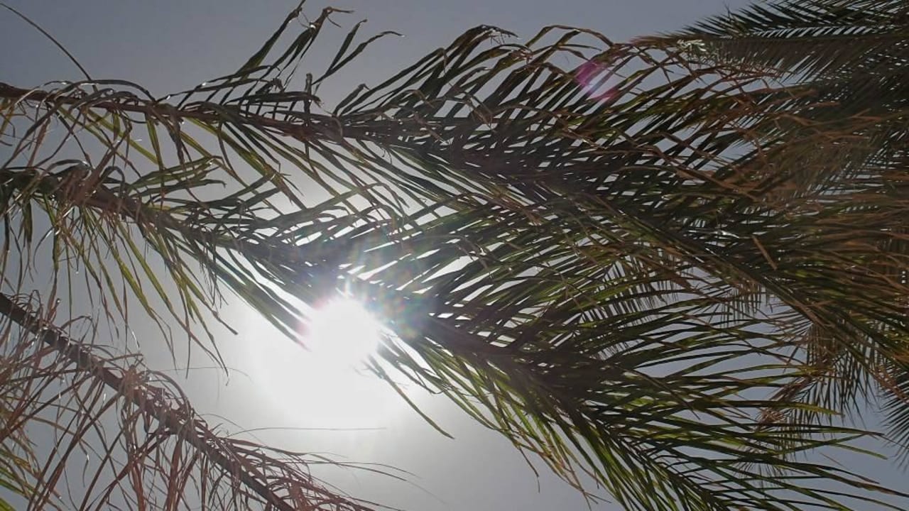 Słońce i palmy - urlop!! Three Corners Sea Beach Resort