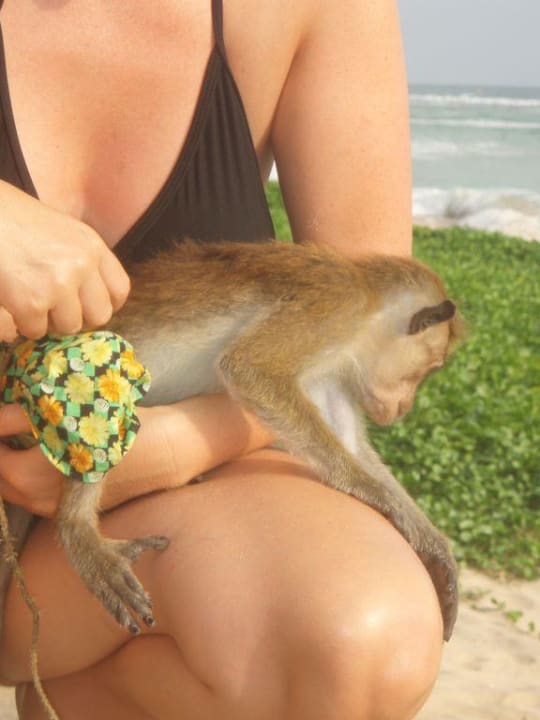 Besuch am Strand Hotel Koggala Beach